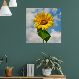 Eenvoudige zonnebloem bloem botanische fotografie  poster