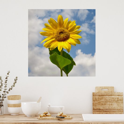Eenvoudige zonnebloem bloem botanische fotografie  poster (Keuken)