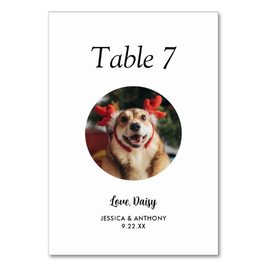 Eenvoudige zwart-witte hond foto bruiloft kaart (Voorkant)