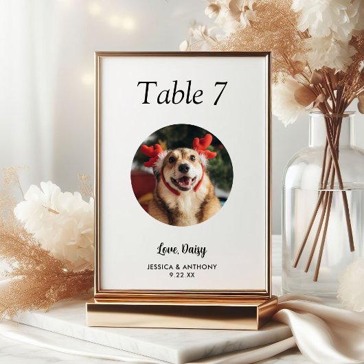 Eenvoudige zwart-witte hond foto bruiloft kaart