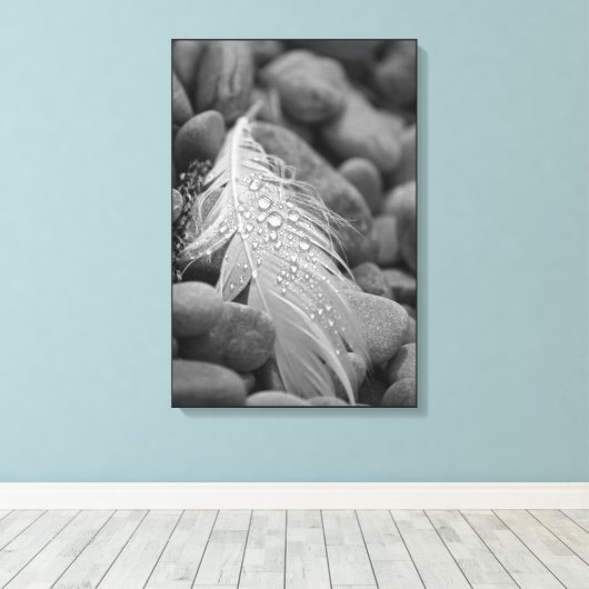 Eenvoudige zwart-witte zwaan veer waterdruppels canvas afdruk (Insitu (Houten vloer))