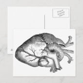 Eenvoudige zwarte witte anatomie hartillustratie briefkaart (Voorkant / Achterkant)