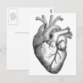 Eenvoudige zwarte witte anatomie hartillustratie briefkaart (Voorkant / Achterkant)