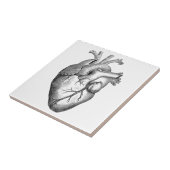 Eenvoudige zwarte witte anatomie hartillustratie tegeltje (Zijkant)