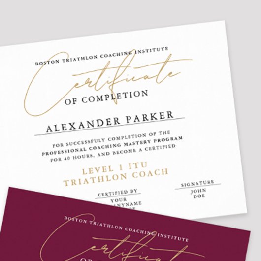 Eenvoudige Zwarte Witte Gouden Certificaat Award D Poster