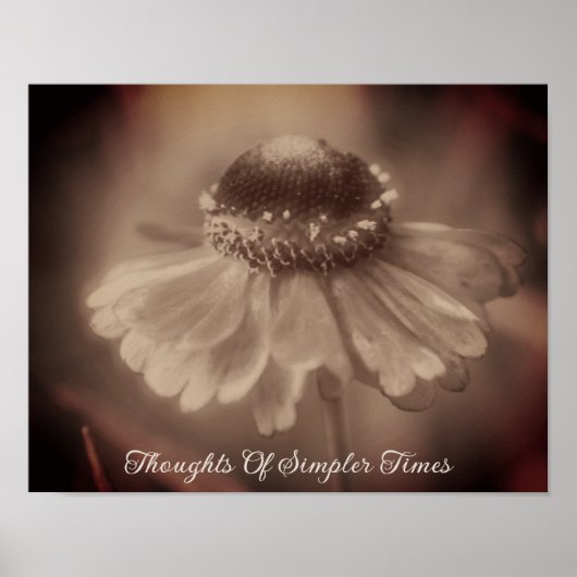 Eenvoudiger tijden Sepia Zinnia Bloem Nostalgie Poster (Voorkant)