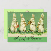 EENVOUDIGER WIT RABBIT ORCHESTRA Music Making Rabb Feestdagenkaart (Voorkant / Achterkant)