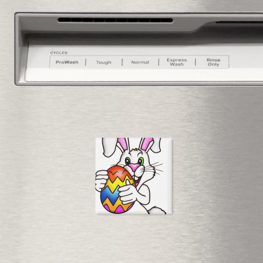 EENVOUDIGERE BUNNING MET KLEURSTOFEASTER EGG MAGNEET (Insitu (Vaatwasser))