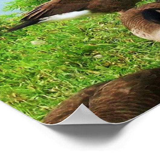 EENVOUDIGERE FROGETTA EN HET ONTBREEKT-POSTER POSTER (Hoek)