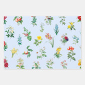 EENVOUDIGERE KUIKENS EN STROOMVLAKKEN INPAKPAPIER VEL (Voorkant 2)