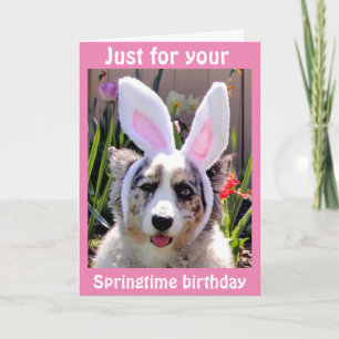 ***EENVOUDIGERE VIRTHDAAG** NAM MIJN PAAR UIT VOOR KAART