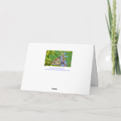 EENVOUDIGERE WISSELING/MAARCH BUTTERFLES OP STROOM FEESTDAGEN KAART (Achterkant)