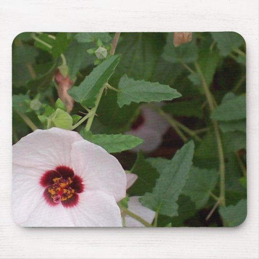 Eenwitte bloem muismat (Voorkant)