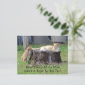 Eeny Meeny Miney Moe ... Briefkaart (Staand voorkant)