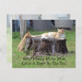 Eeny Meeny Miney Moe ... Briefkaart (Voorkant / Achterkant)