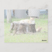 Eeny Meeny Miney Moe ... Briefkaart (Achterkant)