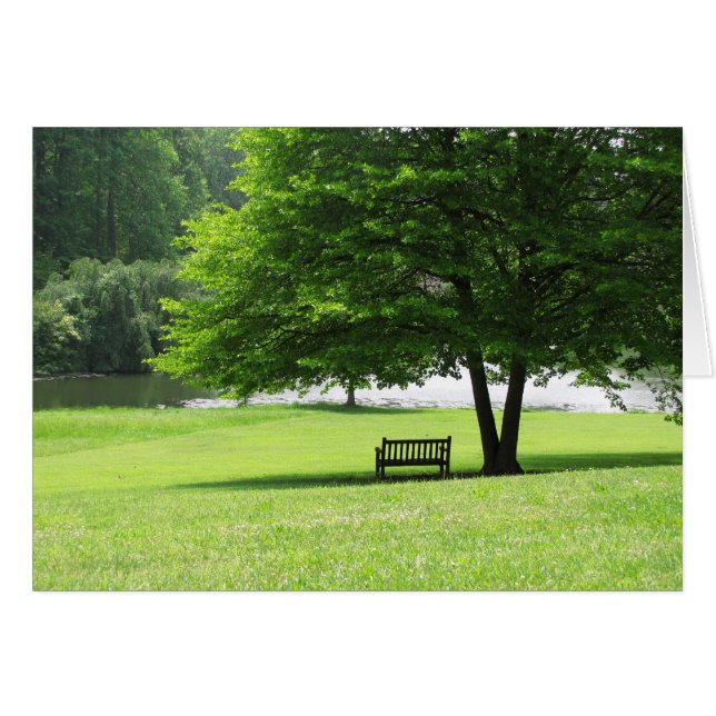 Eenzaamheid (Voorkant Horizontaal)