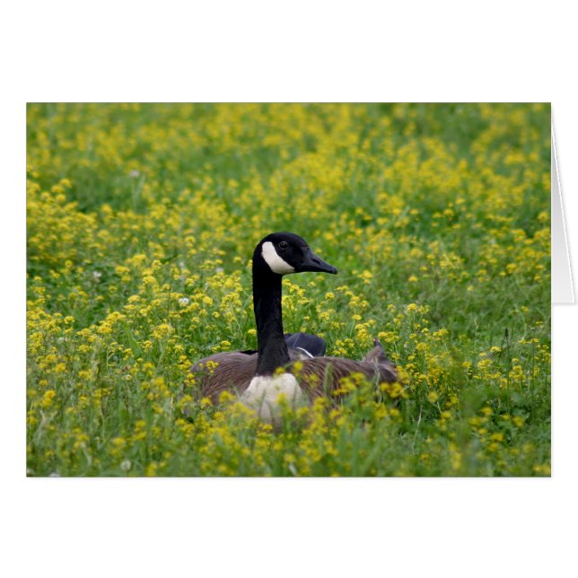 eenzaamheid (Voorkant Horizontaal)