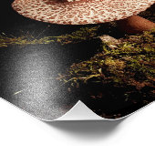 Eenzaamheid Foto Afdruk (Hoek)