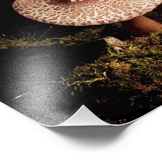 Eenzaamheid Foto Afdruk (Hoek)