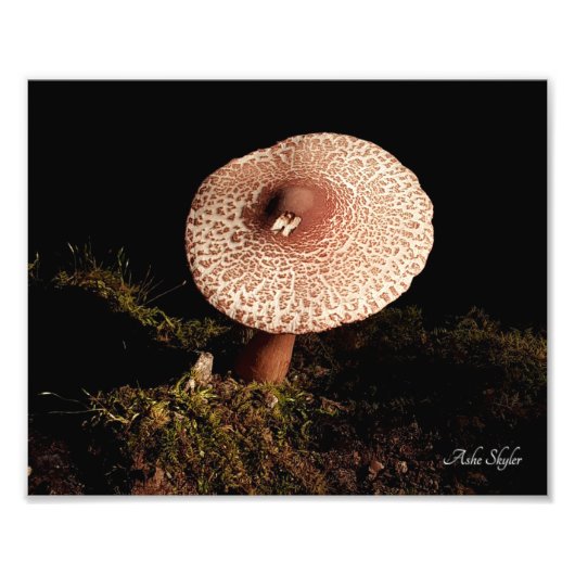 Eenzaamheid Foto Afdruk (Voorkant)