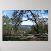 Eenzaamheid - Henry David Thoreau Poster (Voorkant)