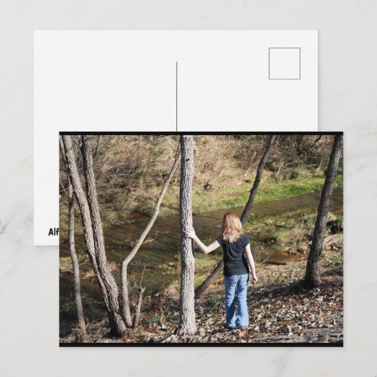 Eenzaamheid in de Bomen Briefkaart (Voorkant / Achterkant)