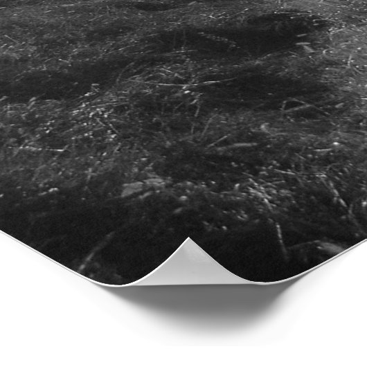 "Eenzaamheid" Poster (Hoek)