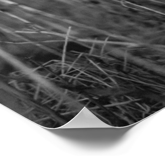 eenzaamheid poster (Hoek)