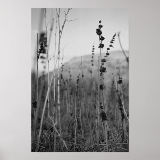 eenzaamheid poster (Voorkant)