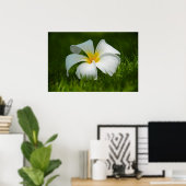 eenzame bloem poster (Thuiskantoor)