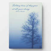 Eenzame bomen groeien sterk - Silhouette in mist Fotoplaat (voorkant)