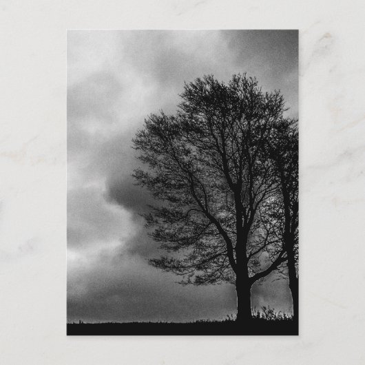 Eenzame boom briefkaart (Voorkant)