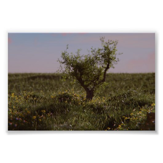 Eenzame Boom Foto Afdruk (Voorkant)