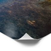 Eenzame boom in de buurt van water perfect poster (Hoek)