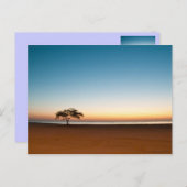 Eenzame boom in de zon in Koeweit Briefkaart (Voorkant / Achterkant)