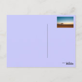 Eenzame boom in de zon in Koeweit Briefkaart (Achterkant)