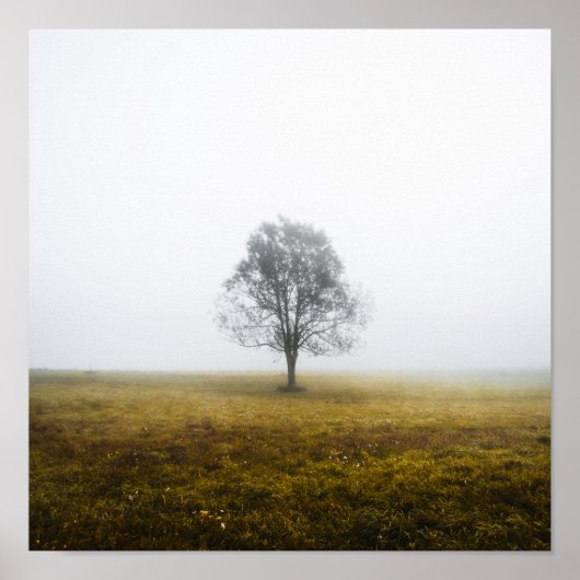 Eenzame boom in een woelige herfstochtend poster (Voorkant)