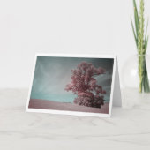 Eenzame boom in infraroodfotografie (2621) kaart (Voorkant)