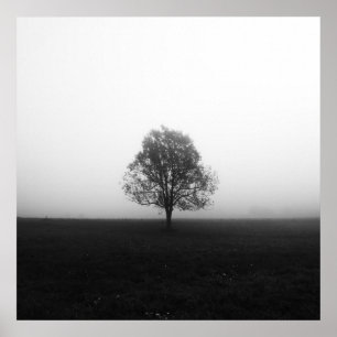 Eenzame boom in mist zwart-wit poster
