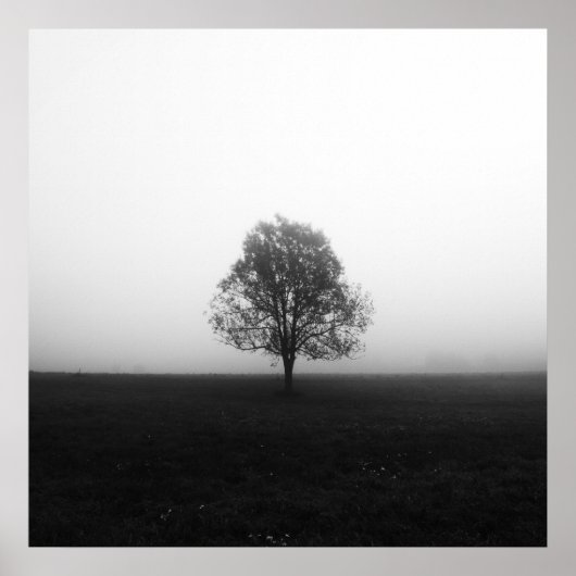 Eenzame boom in mist zwart-wit poster (Voorkant)