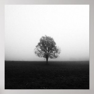 Eenzame boom in nevel zwart en wit poster