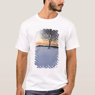 Eenzame boom in verse sneeuw bij New Castle Common T-shirt