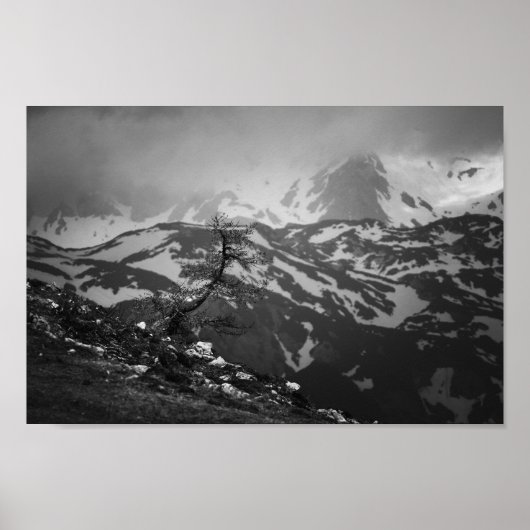 Eenzame boom met verbluffend uitzicht op bergen poster (Voorkant)