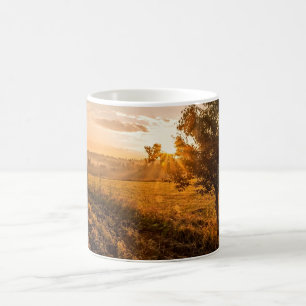 Eenzame boom op het broeiveld in de gouden zonsopg koffiemok