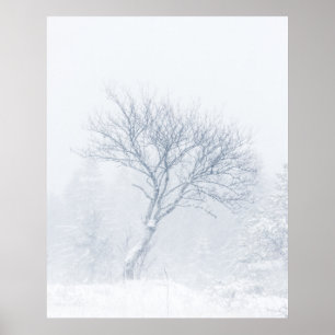 Eenzame boom tijdens het sneeuwstorm in de winter poster