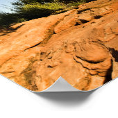 Eenzame ceder, Deadhorse Point State Park, Poster (Hoek)