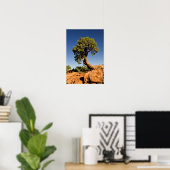 Eenzame ceder, Deadhorse Point State Park, Poster (Thuiskantoor)