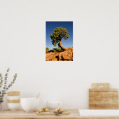 Eenzame ceder, Deadhorse Point State Park, Poster (Keuken)