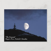 Eenzame Companion Briefkaart (Voorkant)